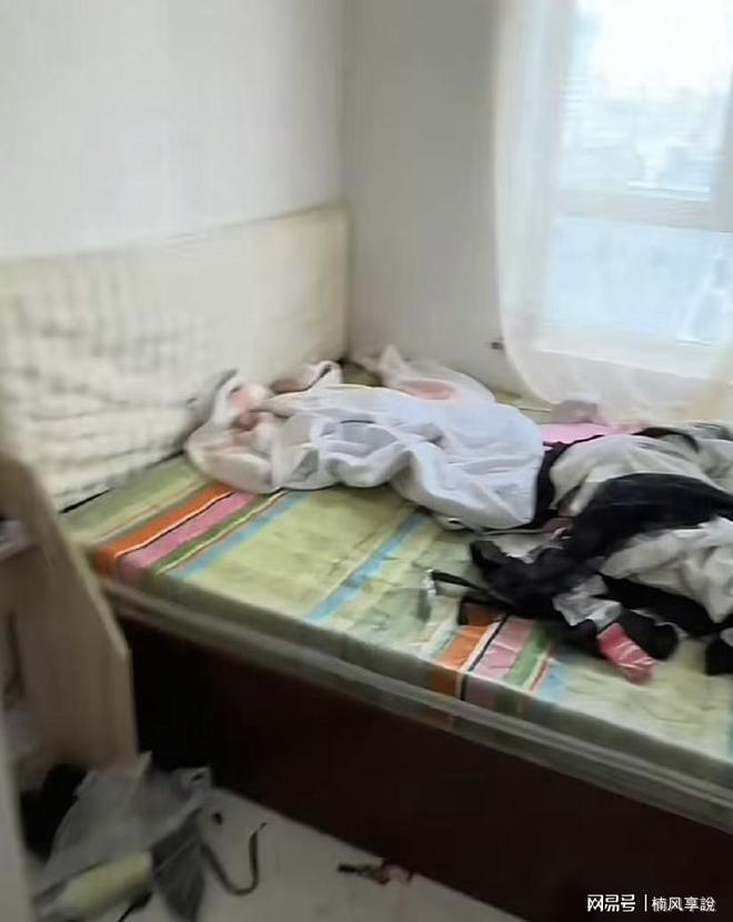 ：网红小乔退房现场惊现“生化危机”pg电子平台提灯定损VS垃圾成山(图4)