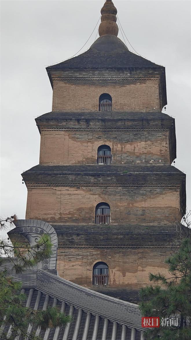 长蘑菇大雁塔受潮城墙布满青苔气象局解释成因pg电子中国网站西安连续一个多月降雨遍地(图4) 长蘑菇大雁塔受潮城墙布满青苔气象局解释成因pg电子中国网站西安连续一个多月降雨遍地(图4)