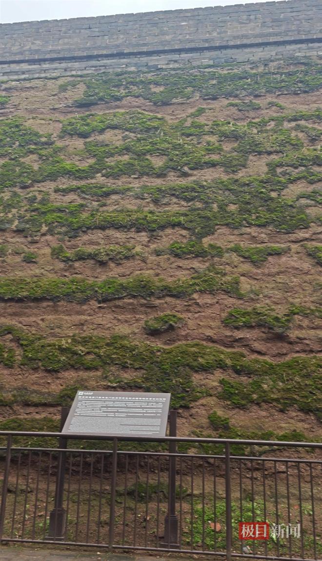 长蘑菇大雁塔受潮城墙布满青苔气象局解释成因pg电子中国网站西安连续一个多月降雨遍地(图1) 长蘑菇大雁塔受潮城墙布满青苔气象局解释成因pg电子中国网站西安连续一个多月降雨遍地(图1)