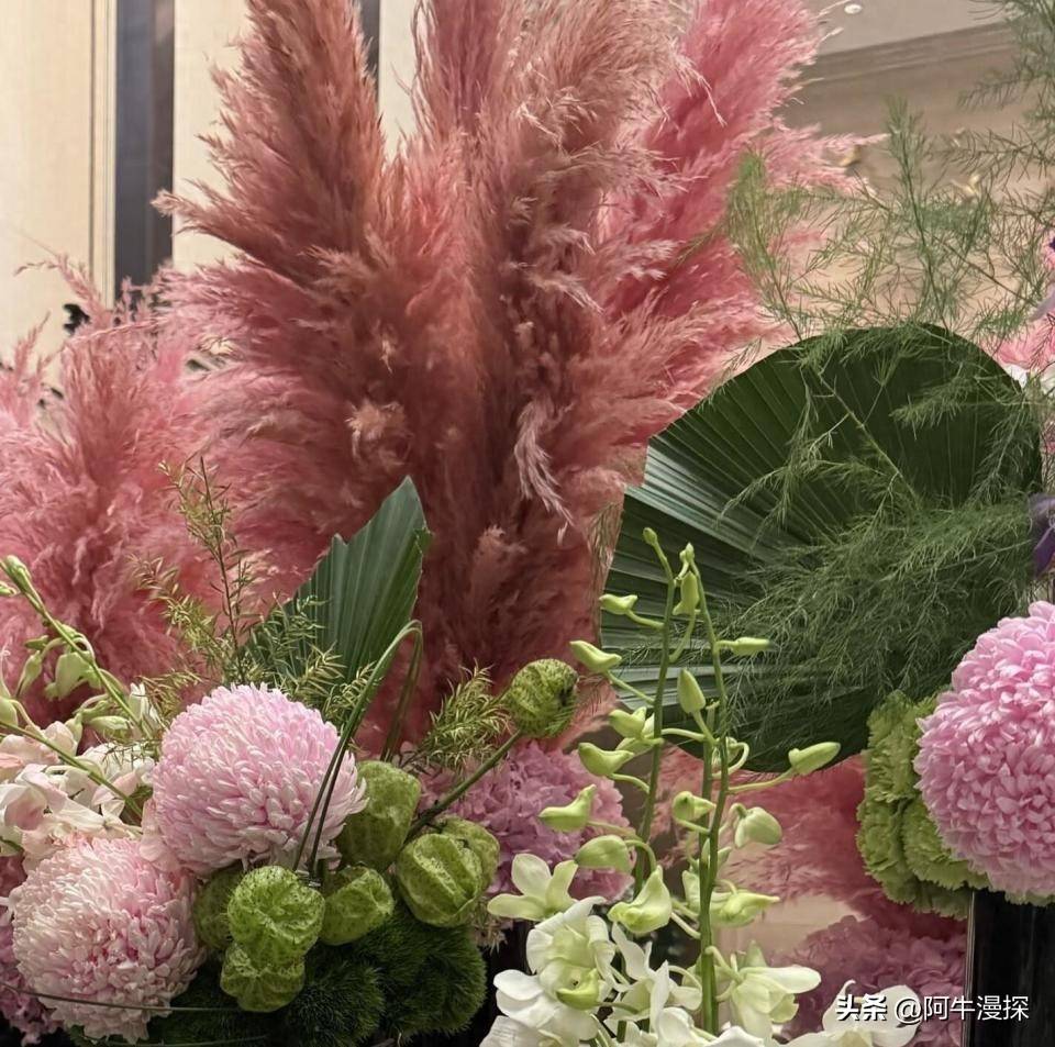 里大的像酒店网友辣评：金钱养人pg电子首页李湘晒回娘家照片家(图7)